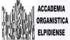 I 40 anni dell'Accademia Organistica Elpidiense