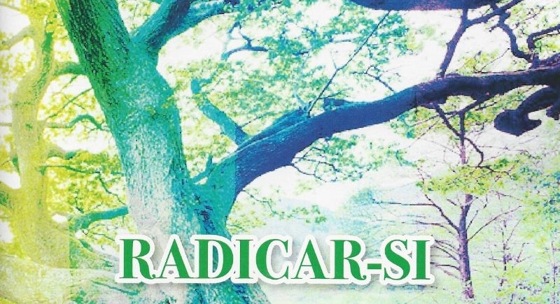 Radicar-Si
