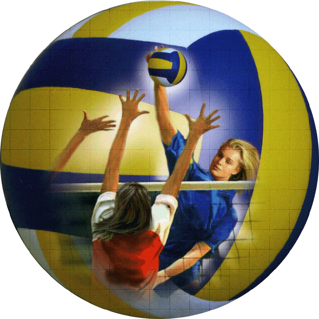 Torneo Pallavolo