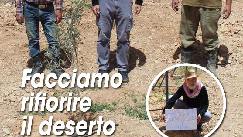 Lettera di collegamento ALOE