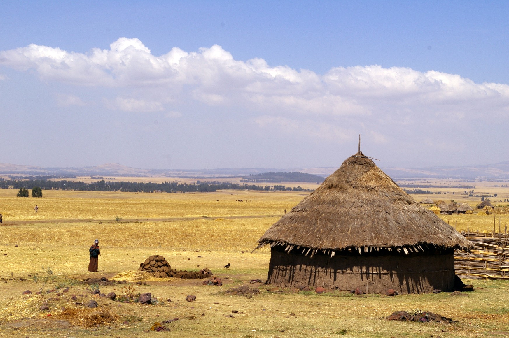 Altopiano del Bale con il tipico tukul oromo