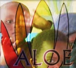 Associazione missionaria ALOE