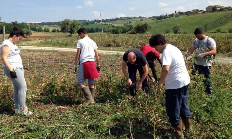 Servizio Civile: occasione di crescita per i giovani