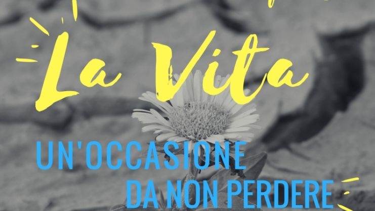 La Vita, un'occasione da non perdere