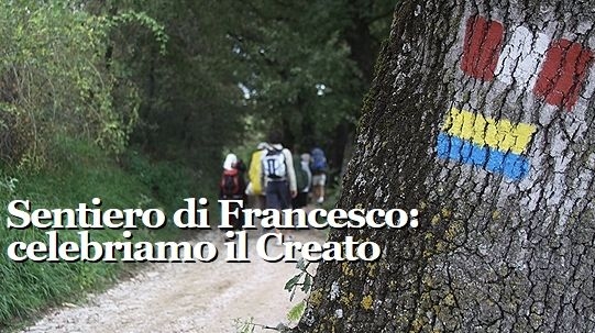 La Giornata Nazionale del Creato sul web e i social
