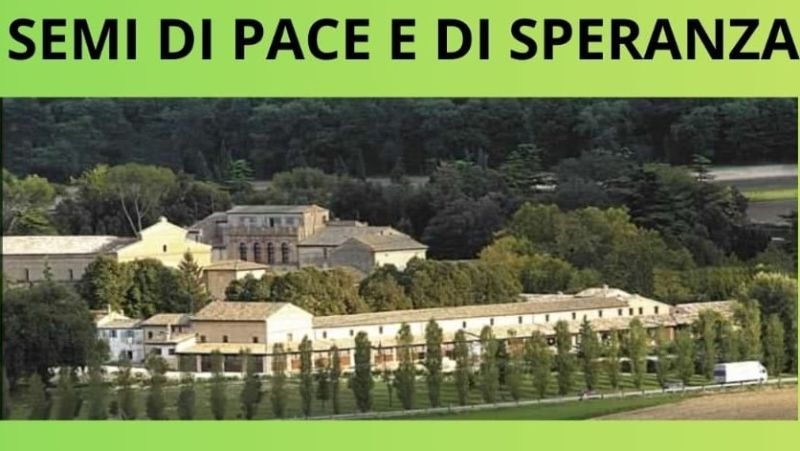 Semi di pace e di speranza