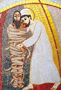 La Chiesa al servizio dell'amore per i sofferenti