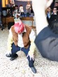 IMG 2282