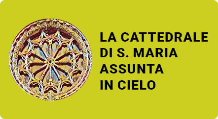 cattedralefermo.it